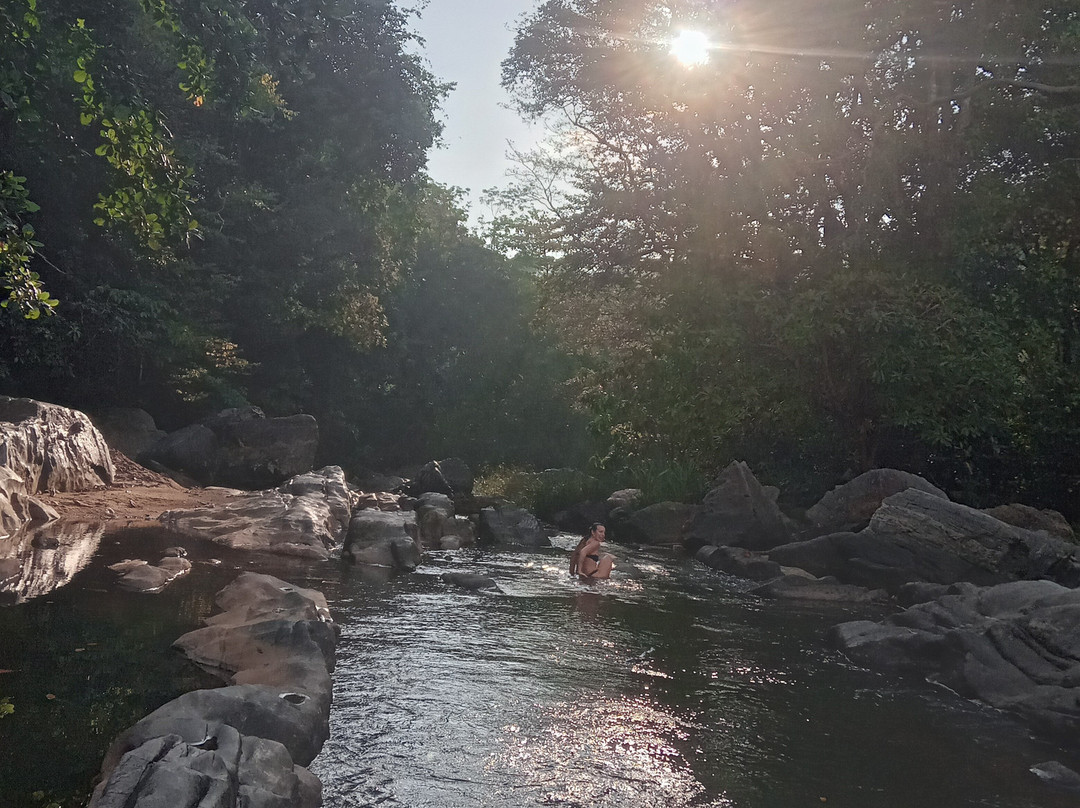 Jungle Village Homestay主图