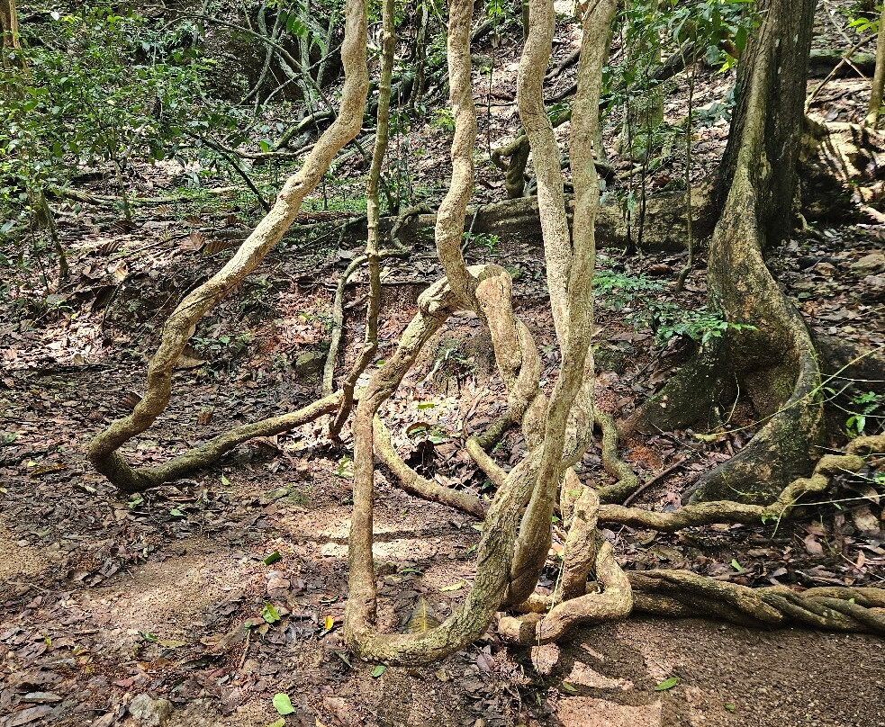 乌达瓦塔凯勒保护区景点图片
