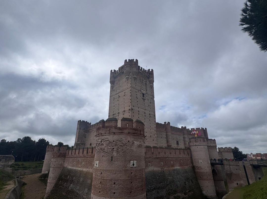 Castillo de la Mota景点图片