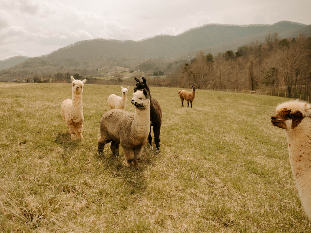 Durrant Farms Estate