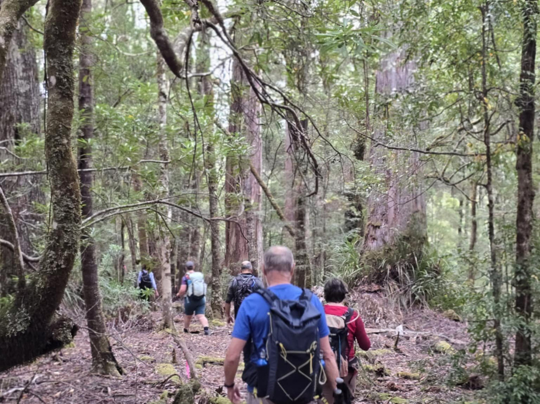 Tarkine Trails-Tullah必去景点