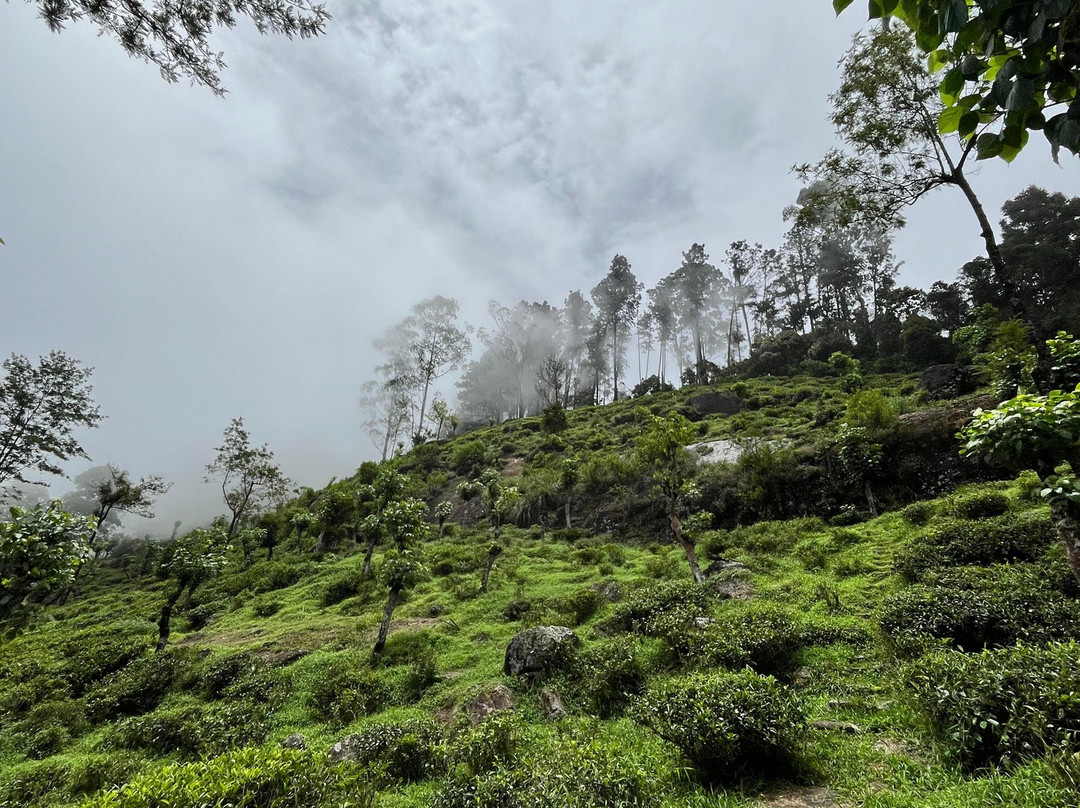 eSKPe Haputale主图