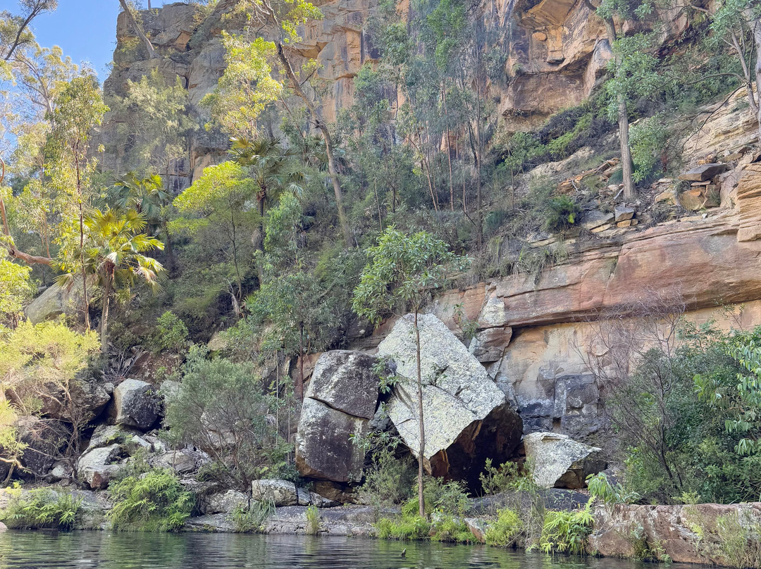 Blackdown Tableland National Park景点图片