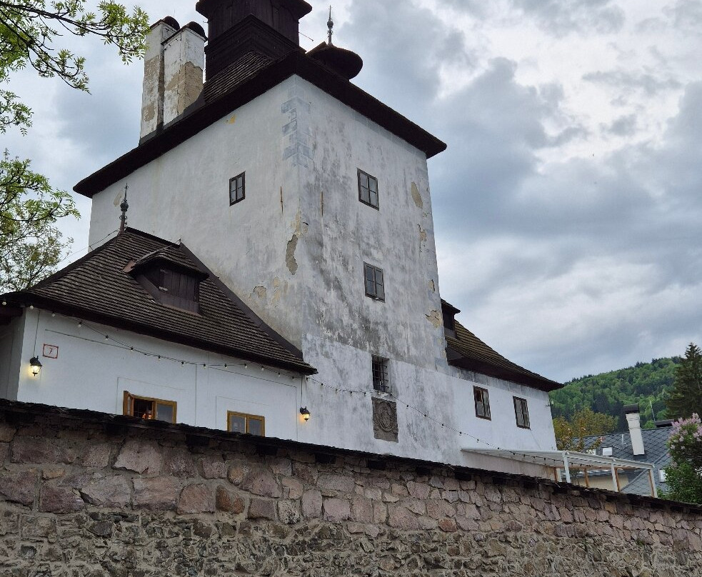 瑞斯拉普利卡罗派克膳食旅馆主图