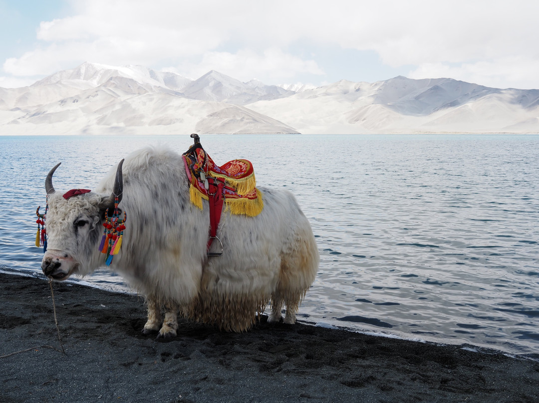 布伦口湖群湿地-喀什市必去景点