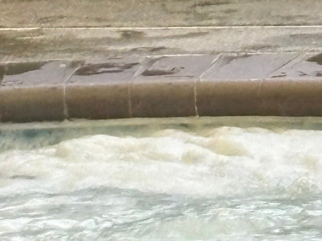 威廉斯堡假日套房酒店主图