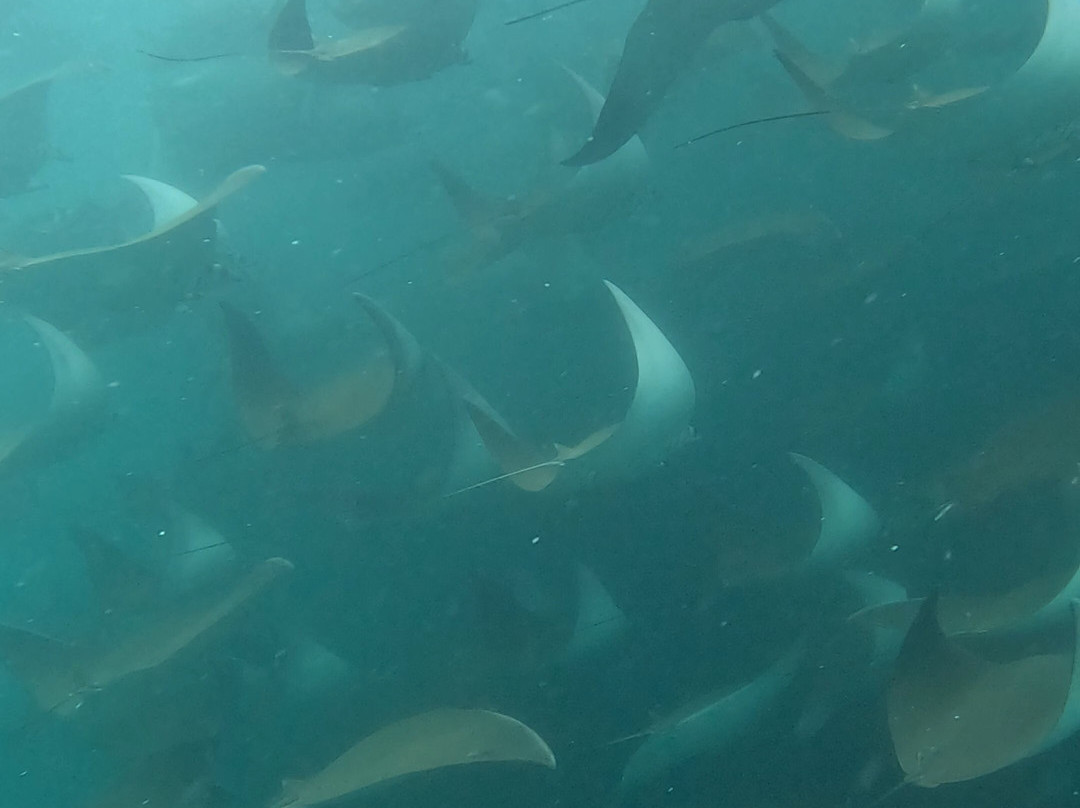 The Hook Experiences-拉巴斯必去景点