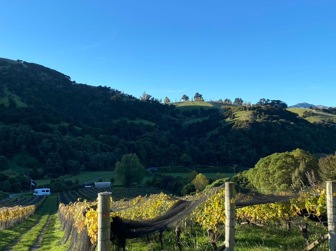 French Peak Vineyard景点图片