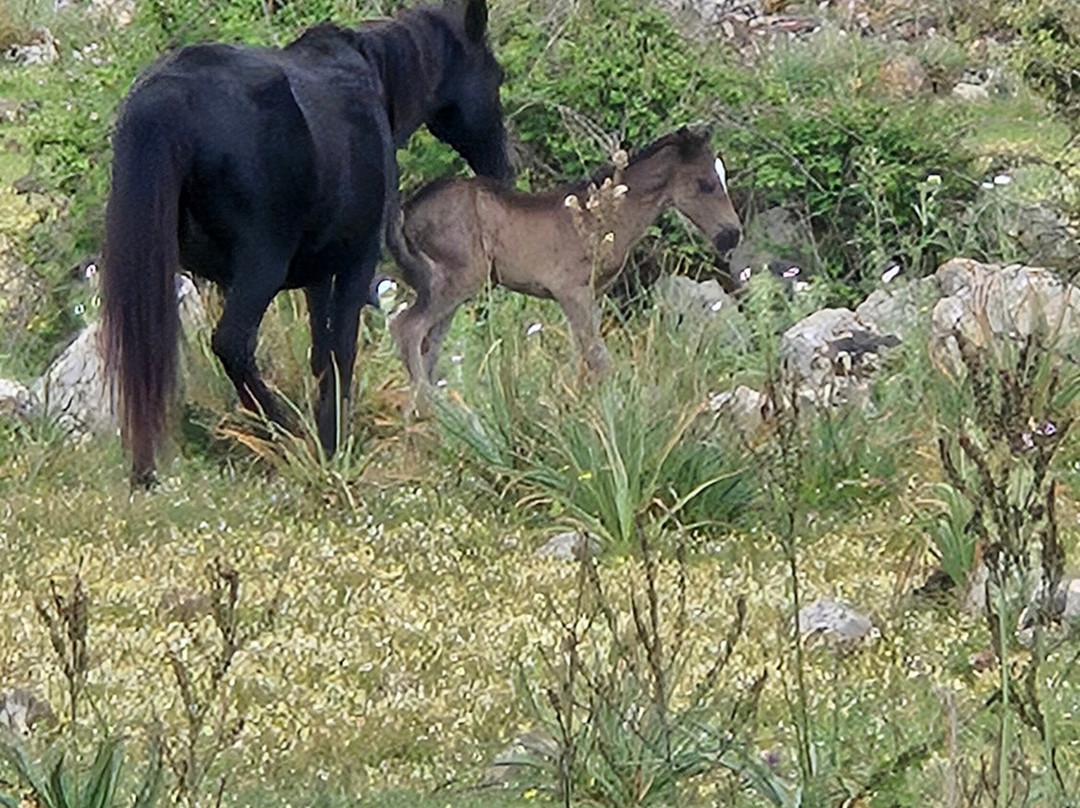 Inside Sardinia Guide-卡利亚里省必去景点