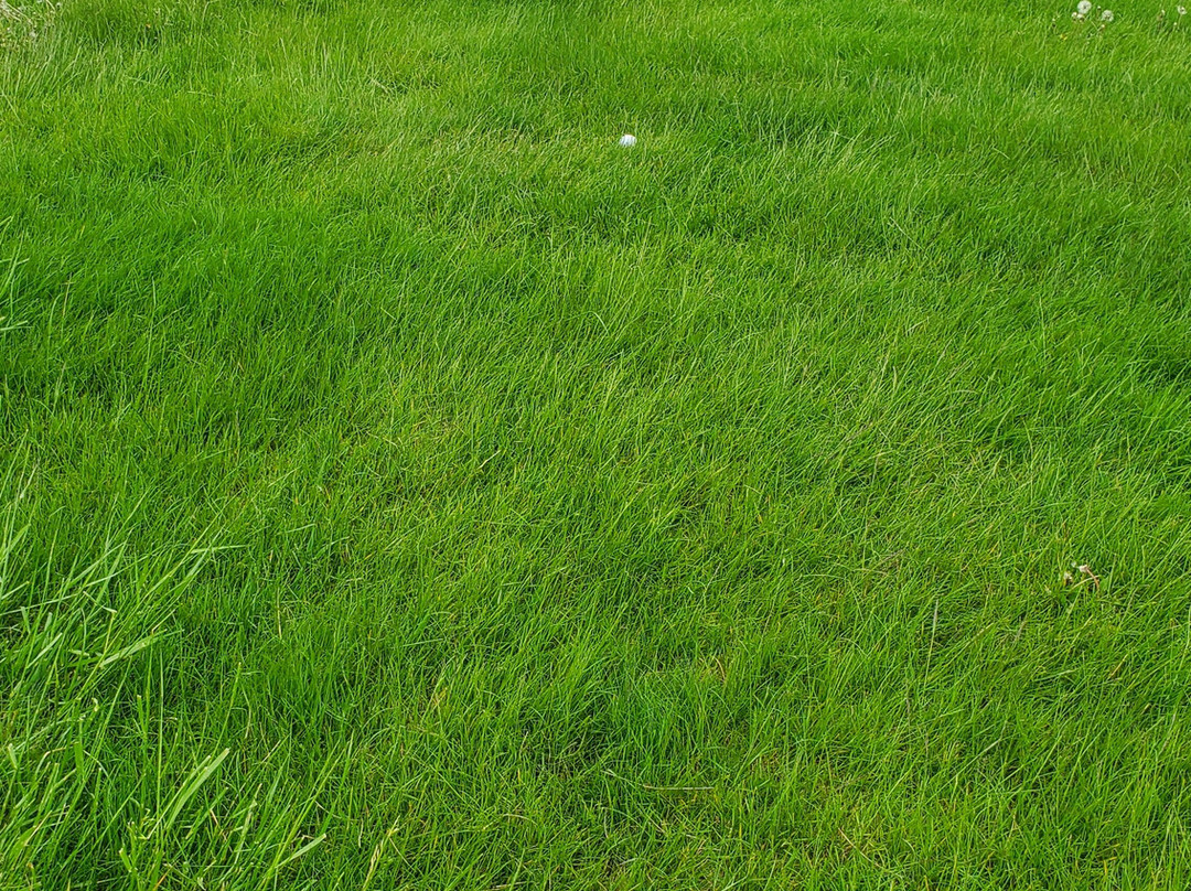 Maumee Bay State Park Golf Course-Oregon必去景点