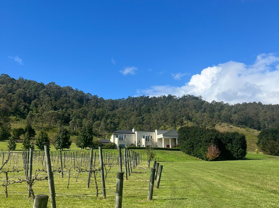 Sarabah Estate Vineyard & Winery景点图片