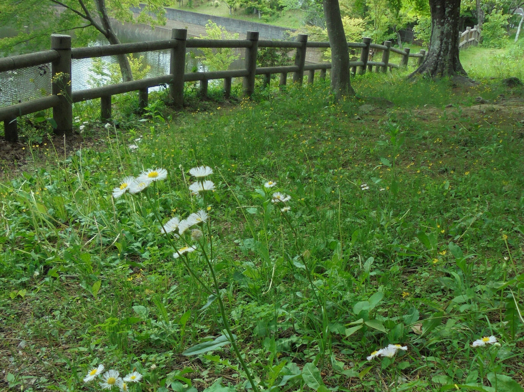 Higashi Park-冈崎市必去景点