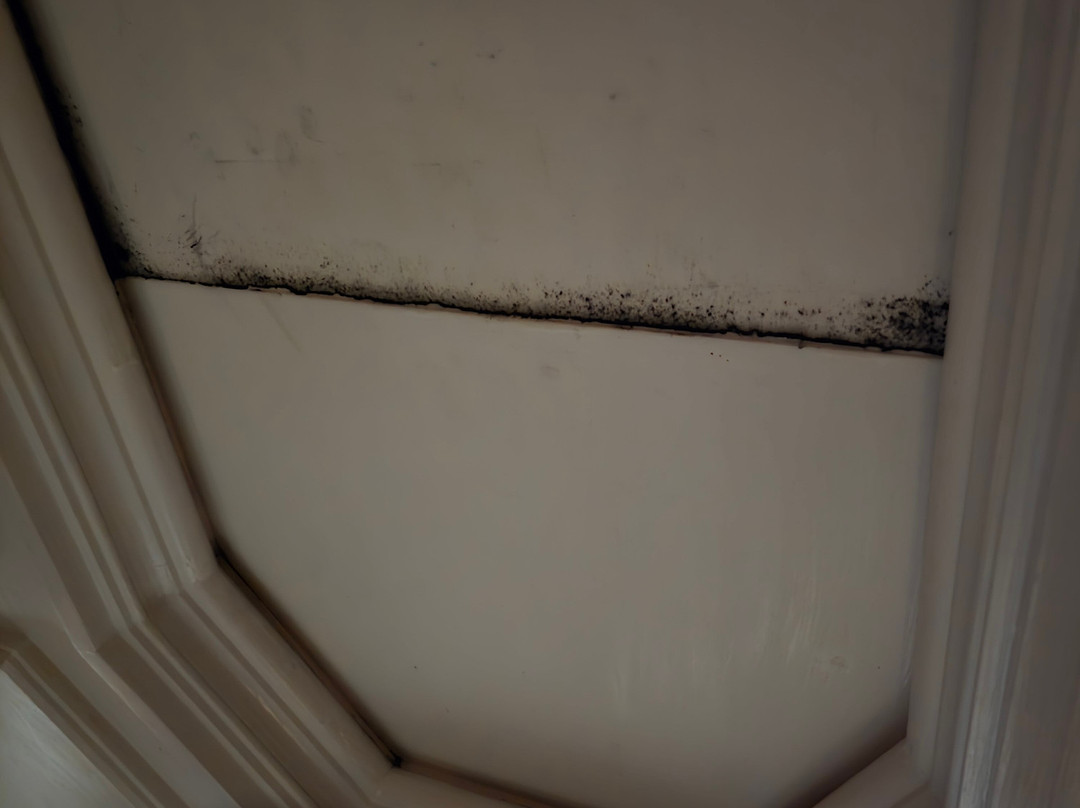 Hampton Inn & Suites Birmingham-Downtown-Tutwiler主图