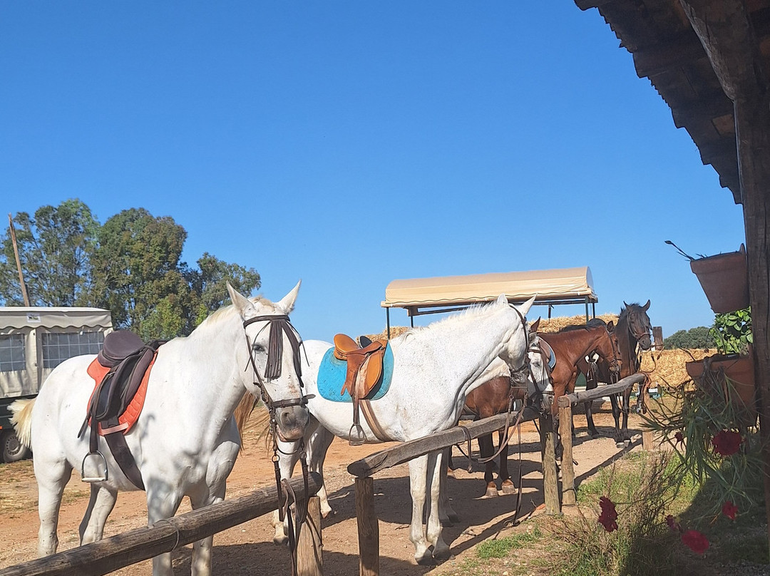 Centro Ecuestre Entrepinares-塞维利亚必去景点