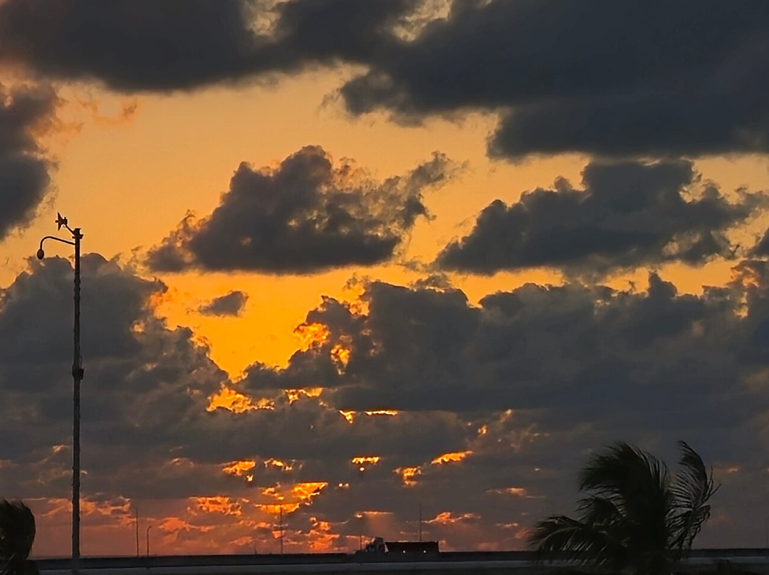 Hotel & Suites Domani主图