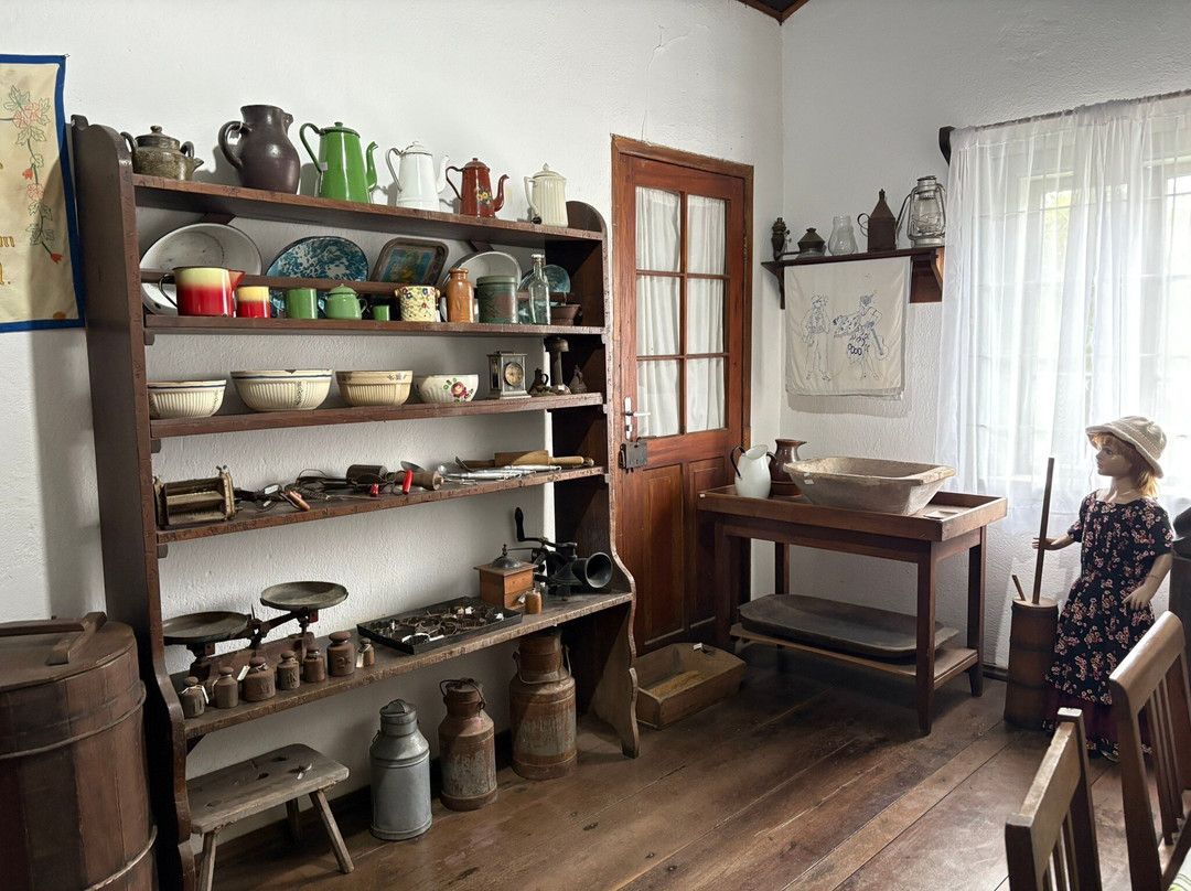 Immigrant Museum-Timbo必去景点