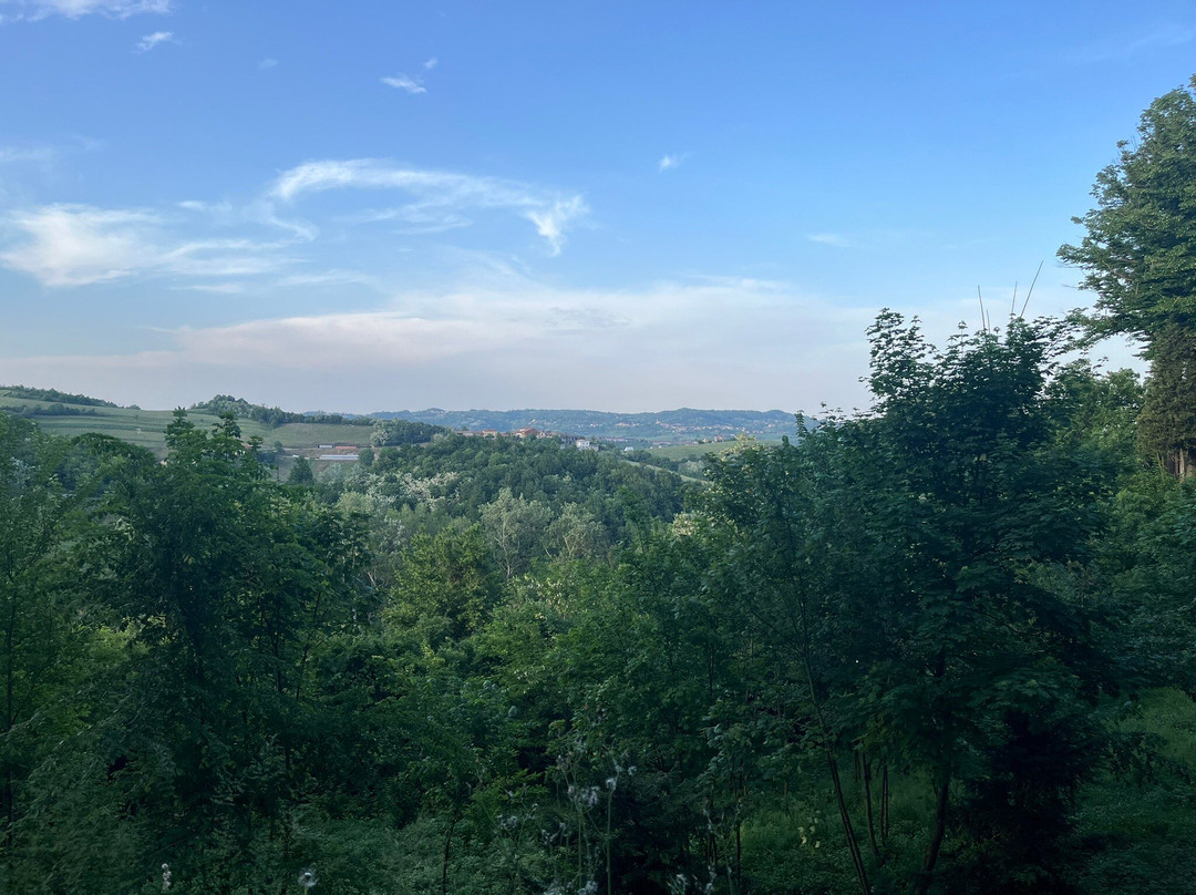 Montalero Cookery景点图片