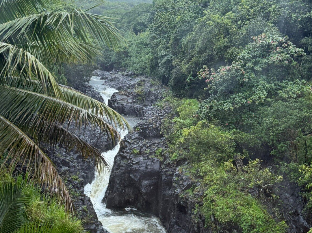 Hawaiian Style Tours-哈纳必去景点