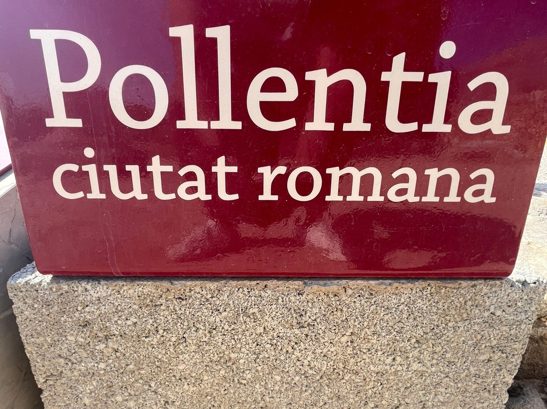 Museu Monogràfic de Pollèntia景点图片