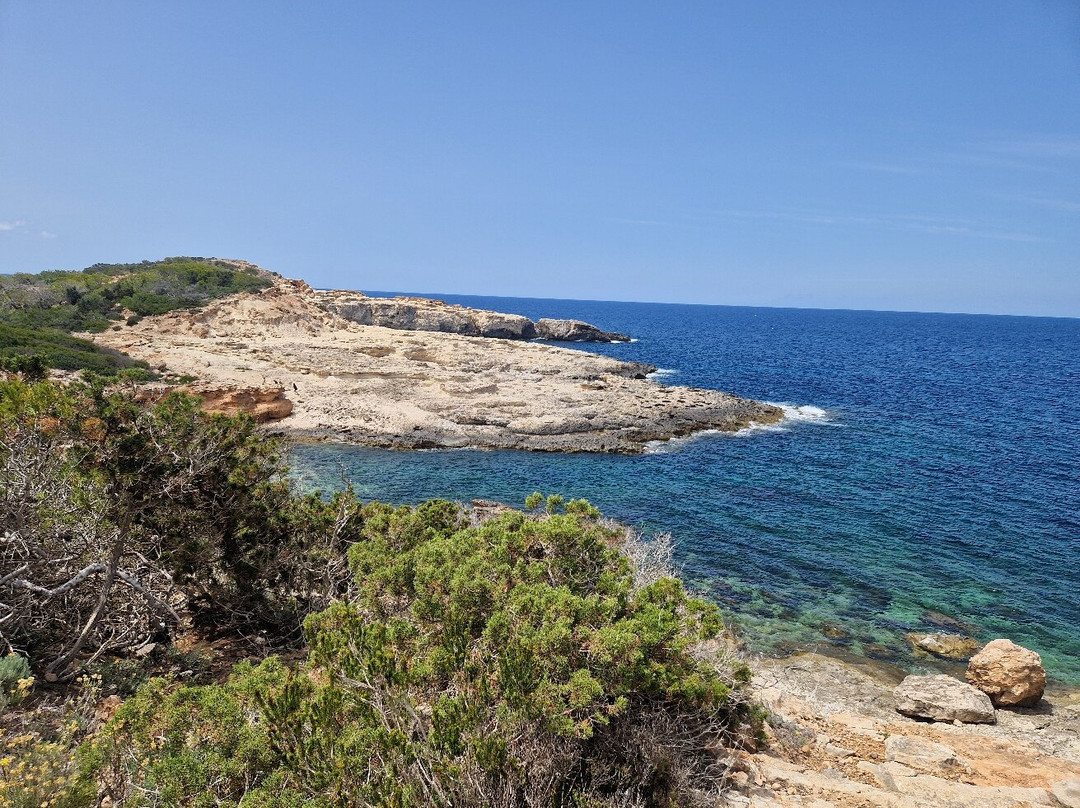 Punta d'es Moscarter景点图片