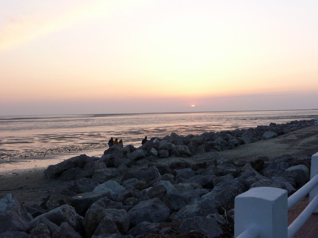 Plage Le Crotoy景点图片