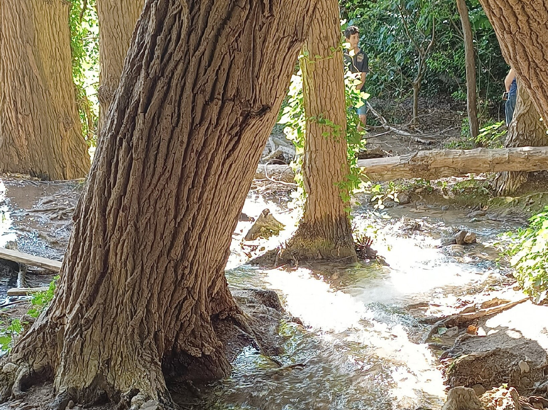 Le Cascate del Menotre景点图片