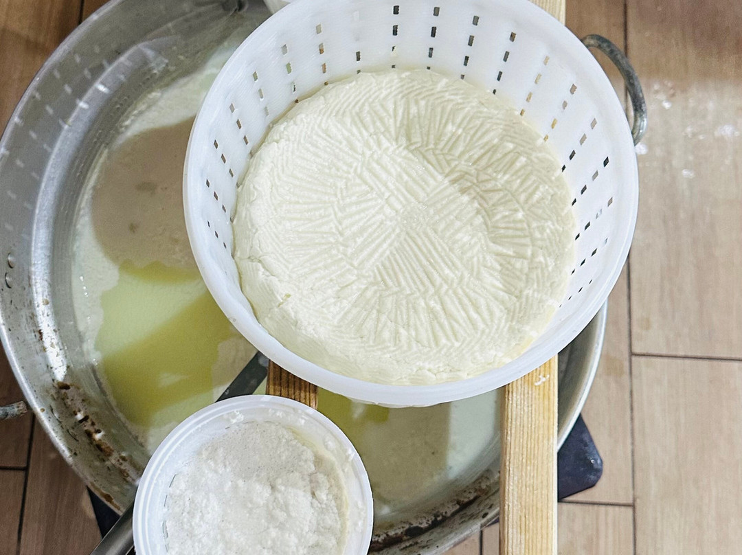 Azienda agricola Massimo Sechi-Seulo必去景点