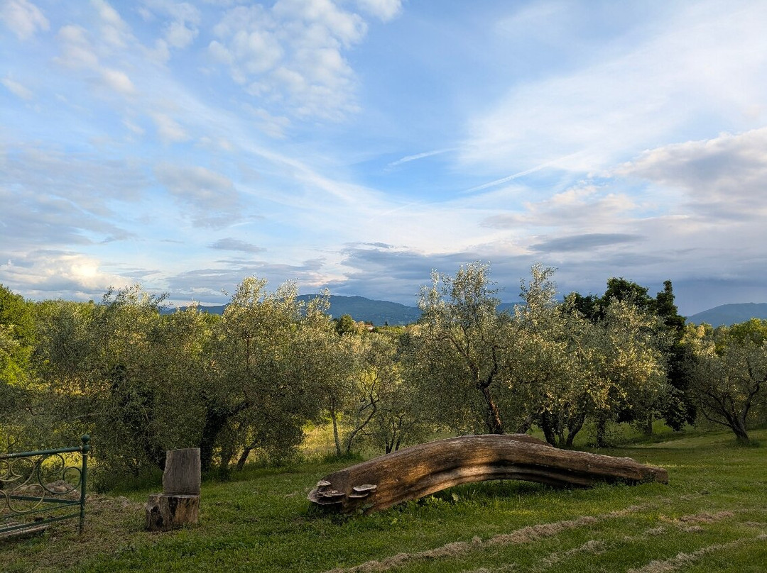 Agriturismo Il Poggio alle Ville主图
