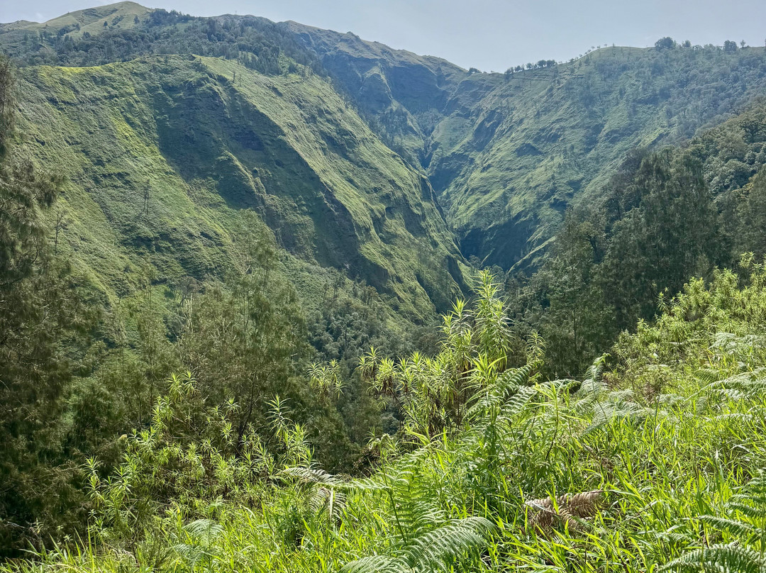 Jeweh Rinjani Trek景点图片