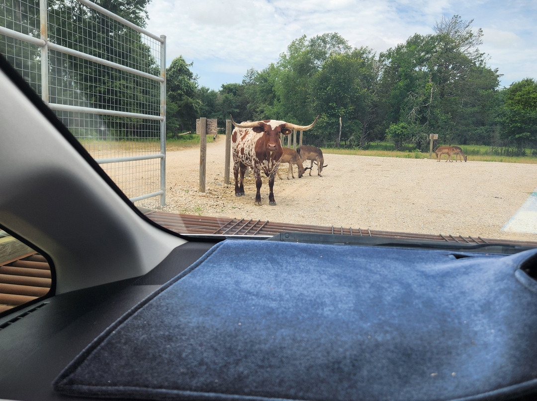 Texas Zoofari Park-Kaufman必去景点