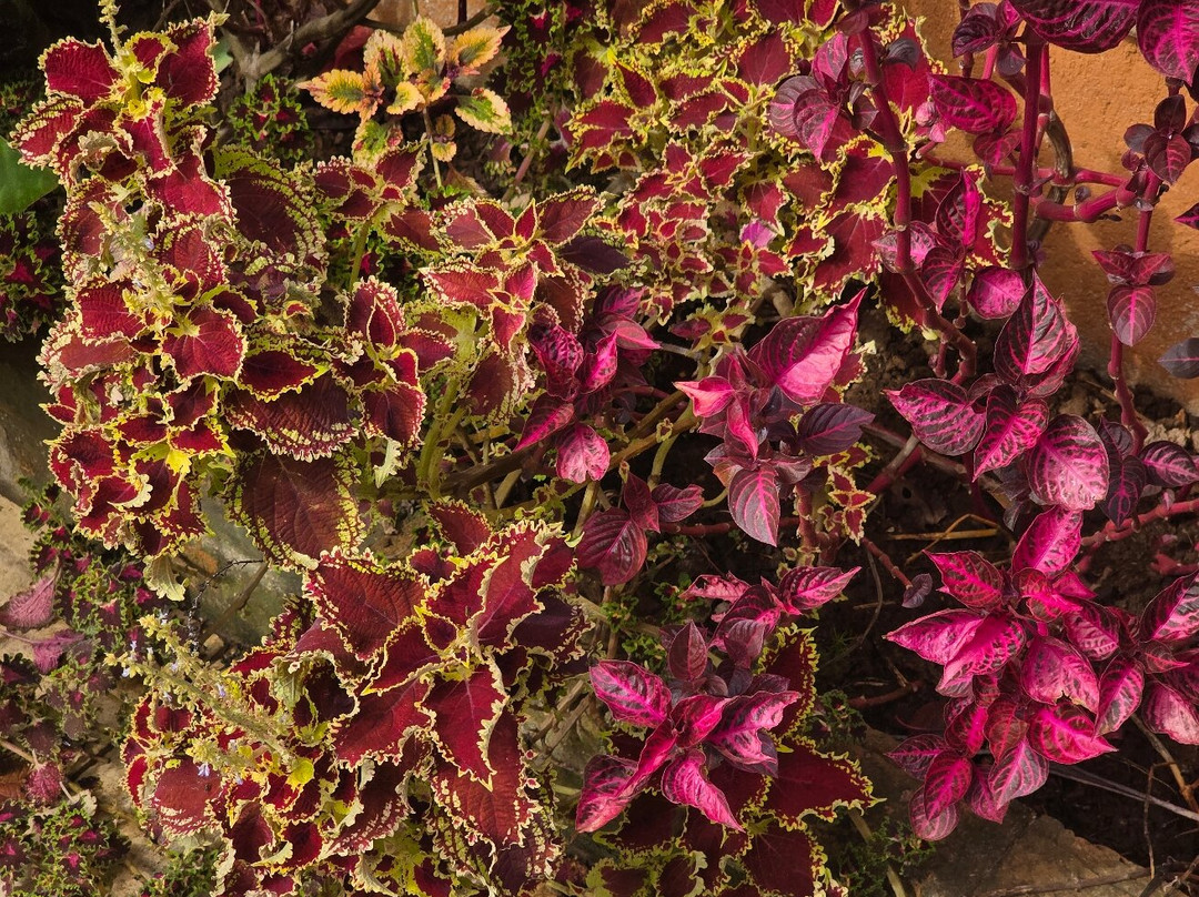 Pousada Vale Monte Azul主图