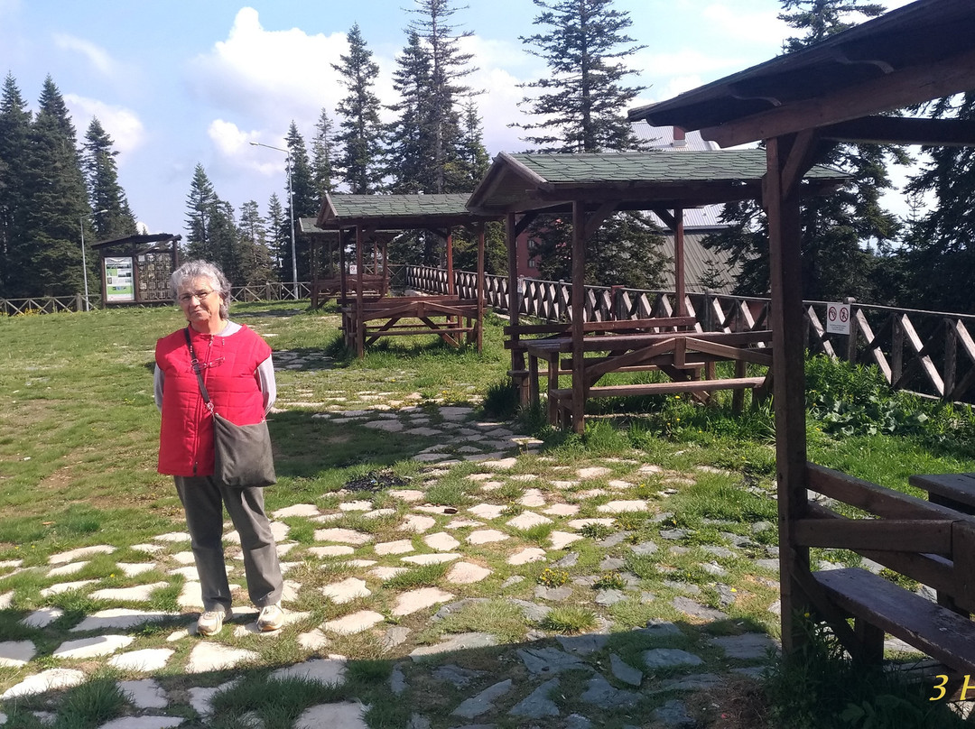 Ilgaz Mountain National Park景点图片