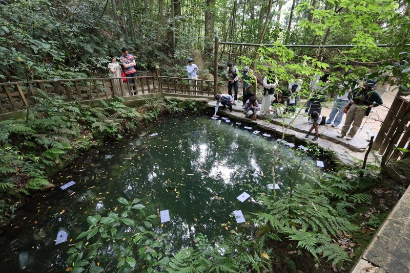 Yaegaki Shrine-松江市必去景点