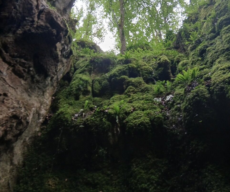 Phosphatières du Cloup d'Aural景点图片