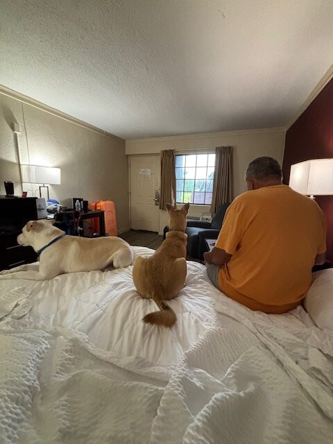 Red Roof Inn Forrest City主图