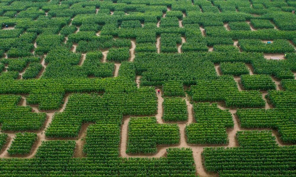 Pop Corn Labyrinthe景点图片
