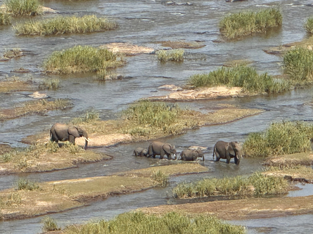 Africa's Best Adventures景点图片
