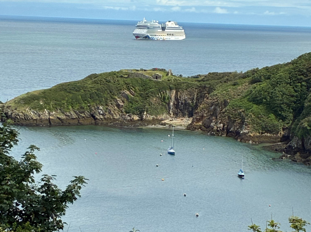 Fishguard Lower Town Harbour-Fishguard必去景点