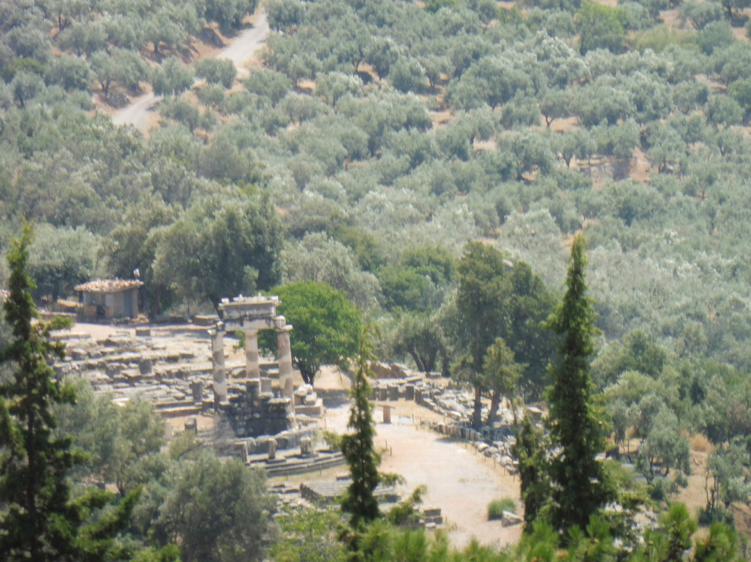 Tholos of Athena Pronaia-德尔斐必去景点