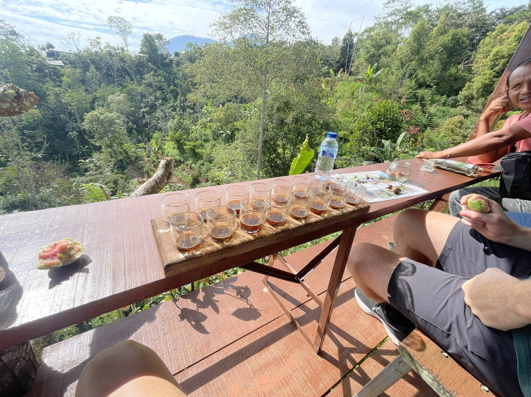Wanagiri Coffee Plantation Bali And Luwak Coffee-Wanagiri必去景点