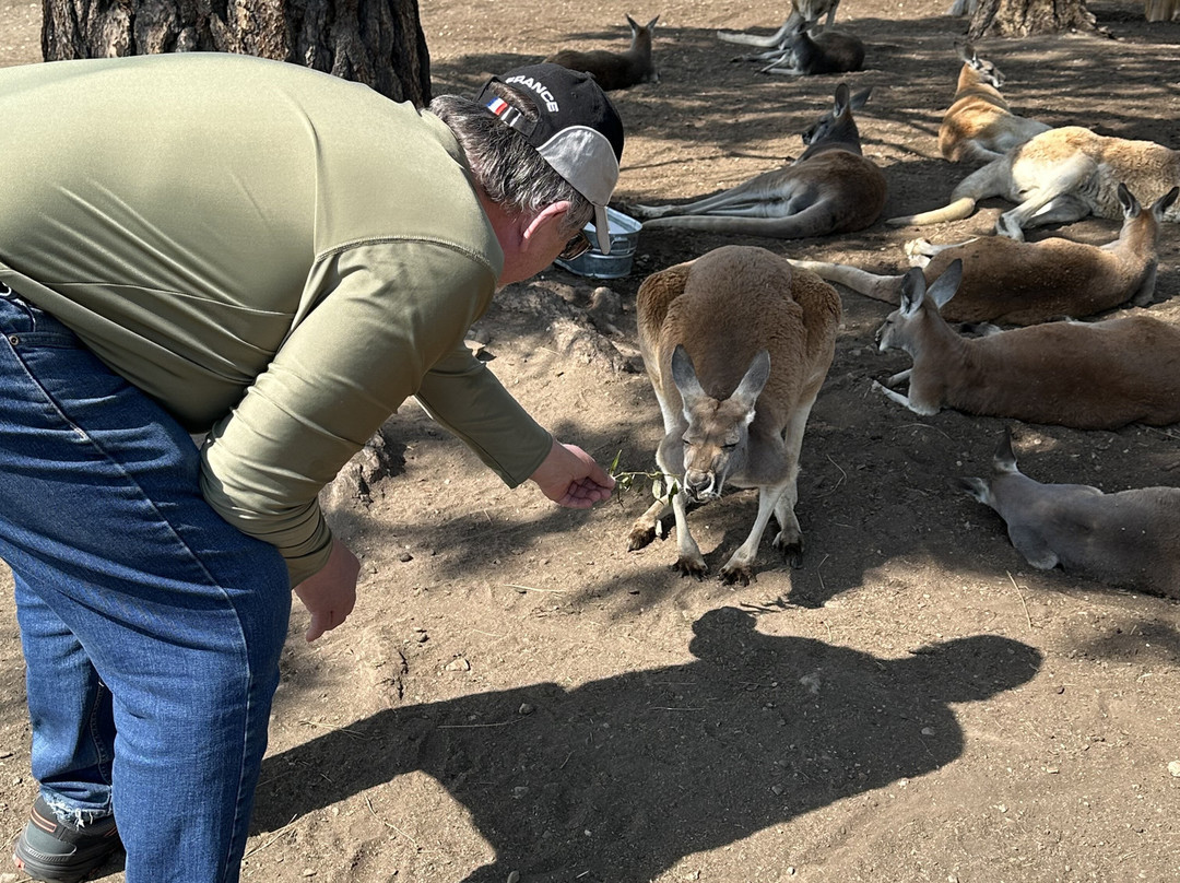 Kangaroo Creek Farm-基洛纳必去景点
