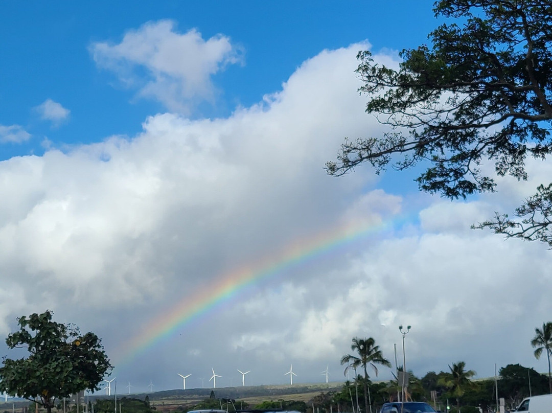 Haleiwa Alii Beach Park-哈雷瓦必去景点