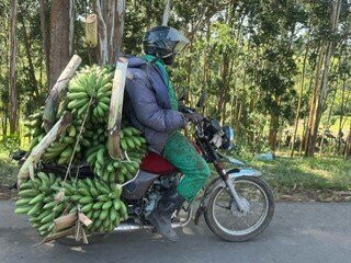 Afrika Panthera Safaris-Fort Portal必去景点