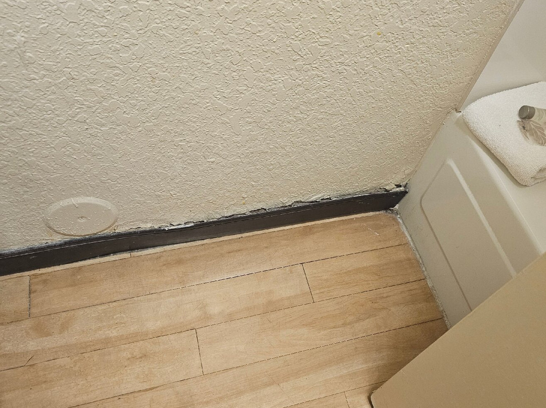 Red Roof Plus + Gainesville主图