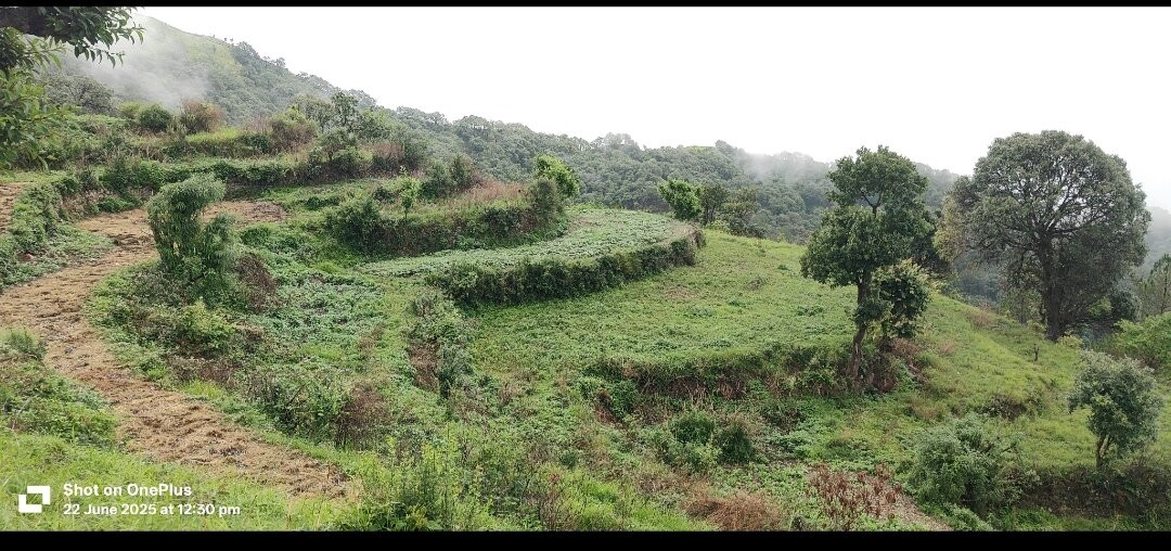 Nighut Hotel And Restaurant主图