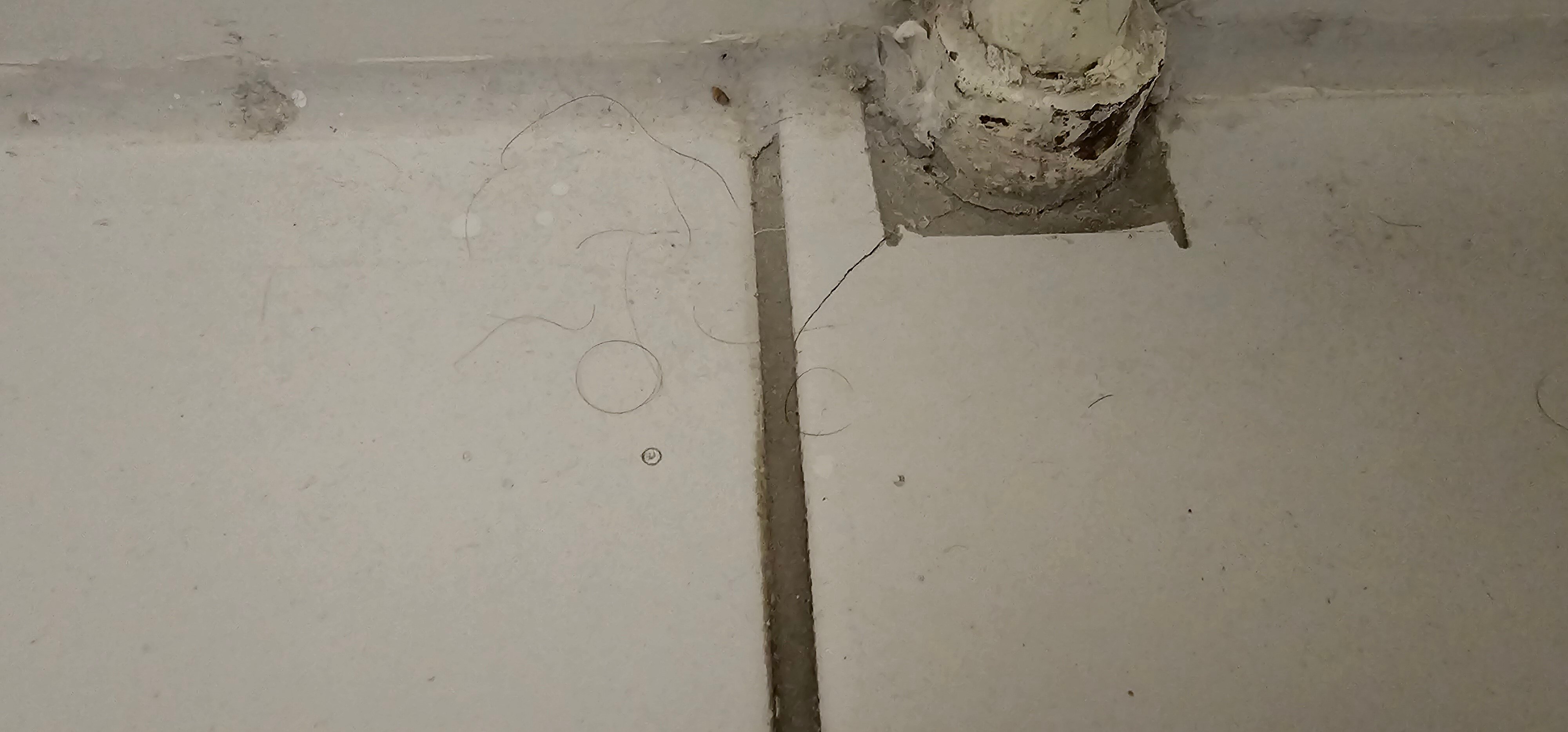 ibis Styles Offenburg City-官方