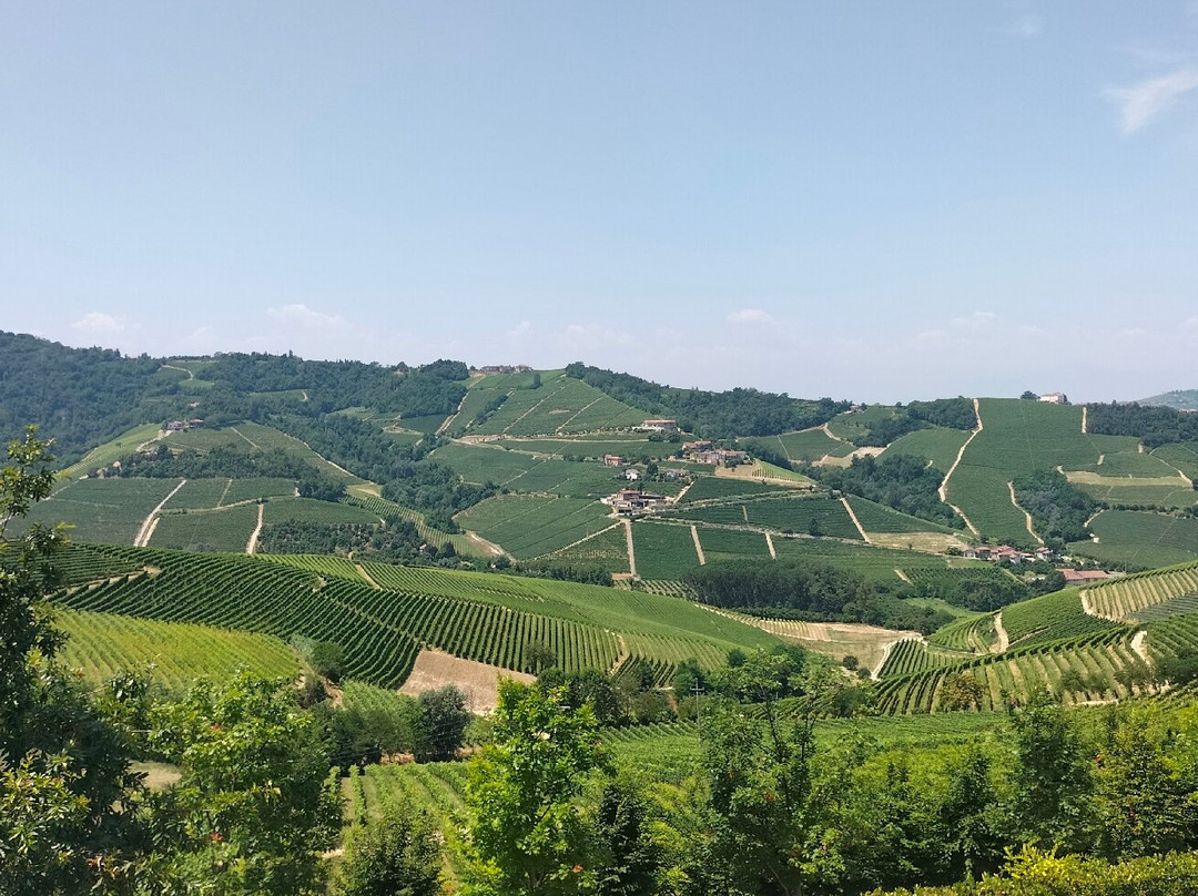 Azienda Agricola Ettore Germano-塞拉伦加达尔巴必去景点
