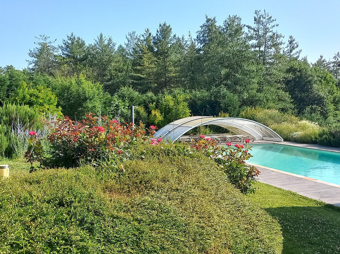 Il Sambuco Innamorato主图