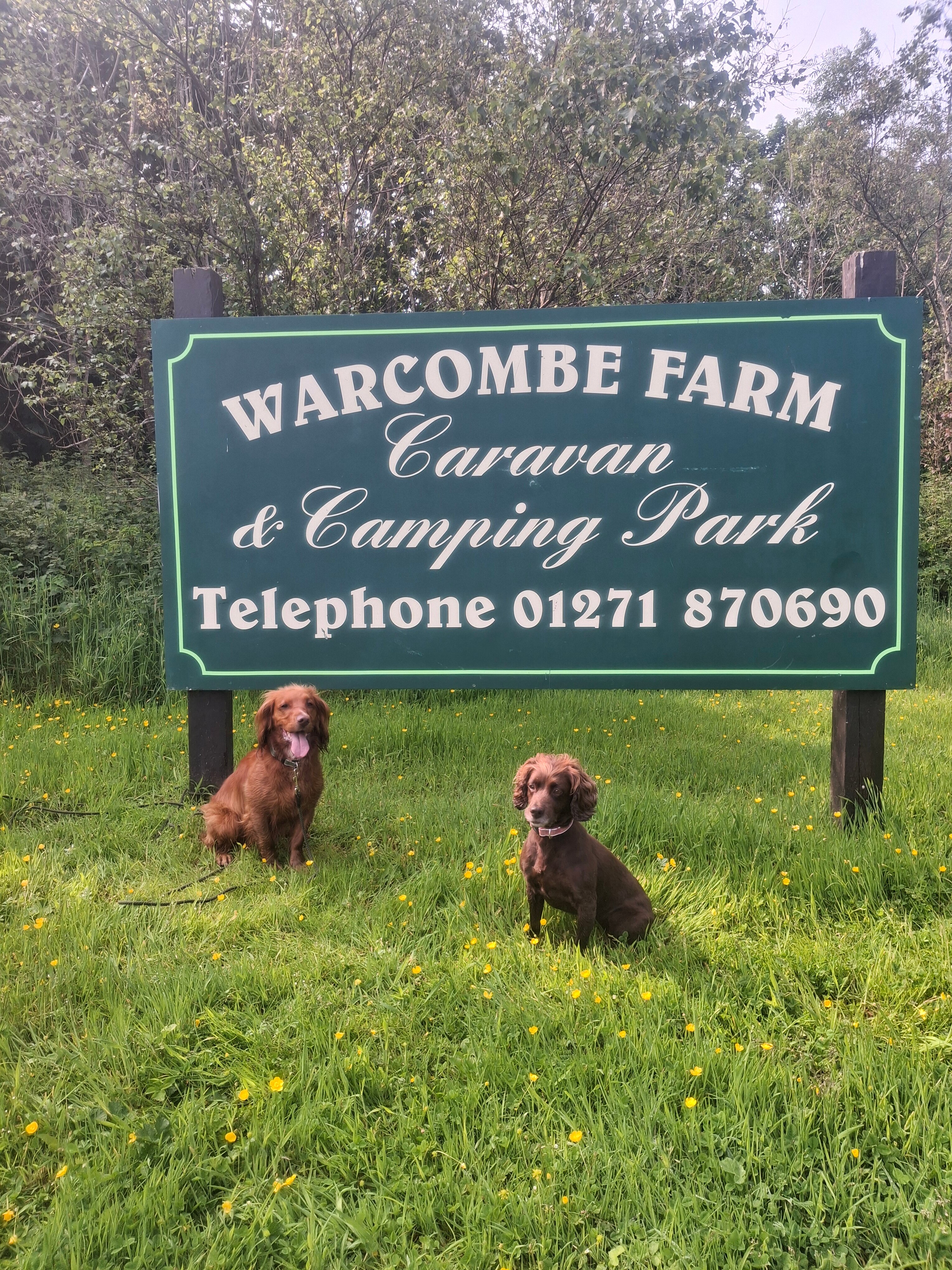 Warcombe Farm Camping Park-官方