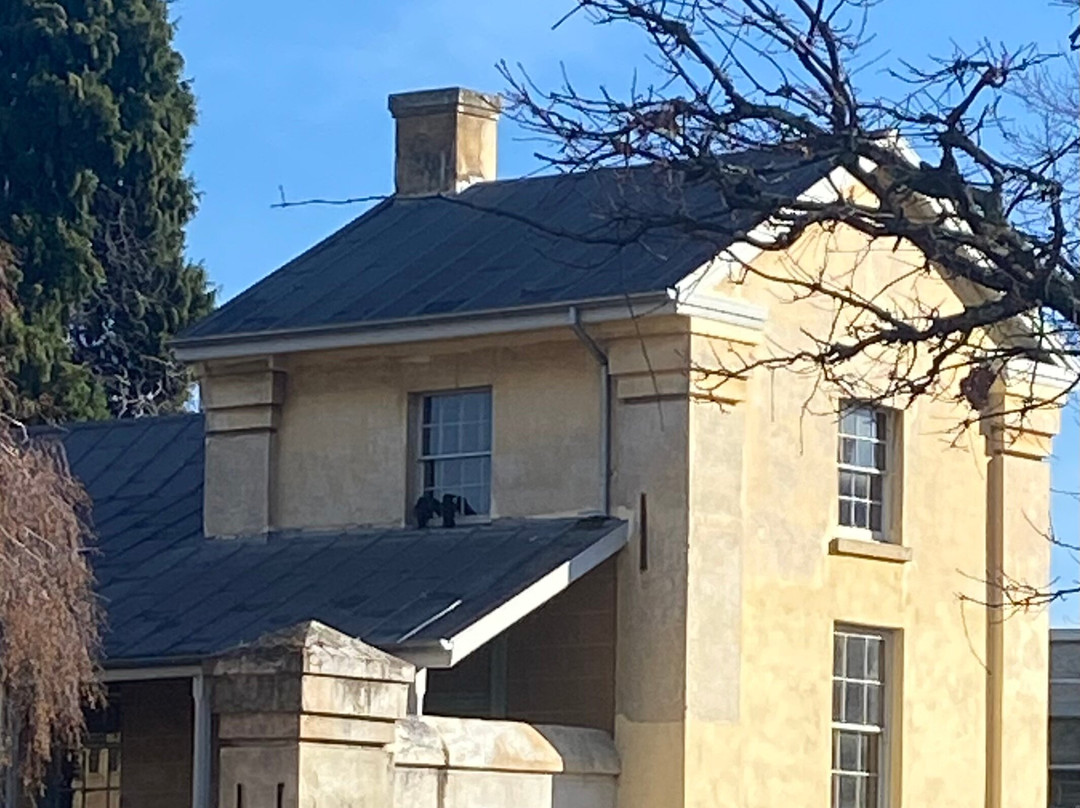 Willow Court Asylum-New Norfolk必去景点